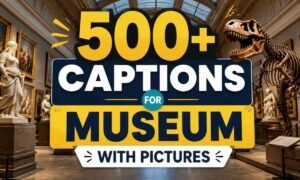 500-captions-for-museum-with-pictures