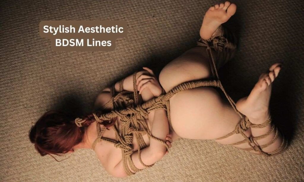 stylish-aesthetic-bdsm-lines